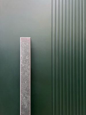 Зеленая дверная панель