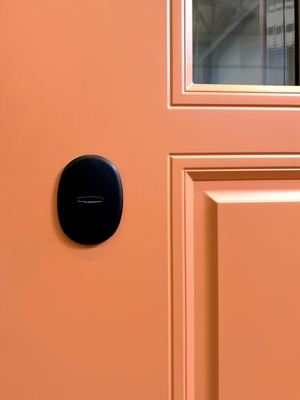 Оранжевая дверная панель